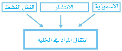 كيف تنتقل المواد عبر الغشاء البلازمي في الخلية؟ كيف تنتقل المواد عبر الغشاء البلازمي في الخلية؟